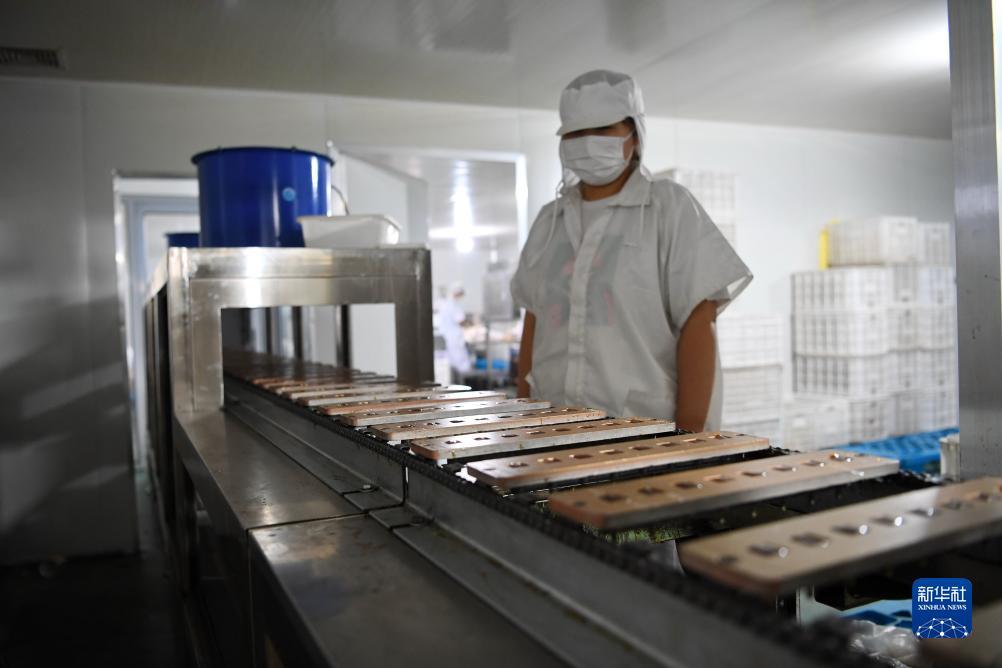 捕鱼达人之南海风云下载